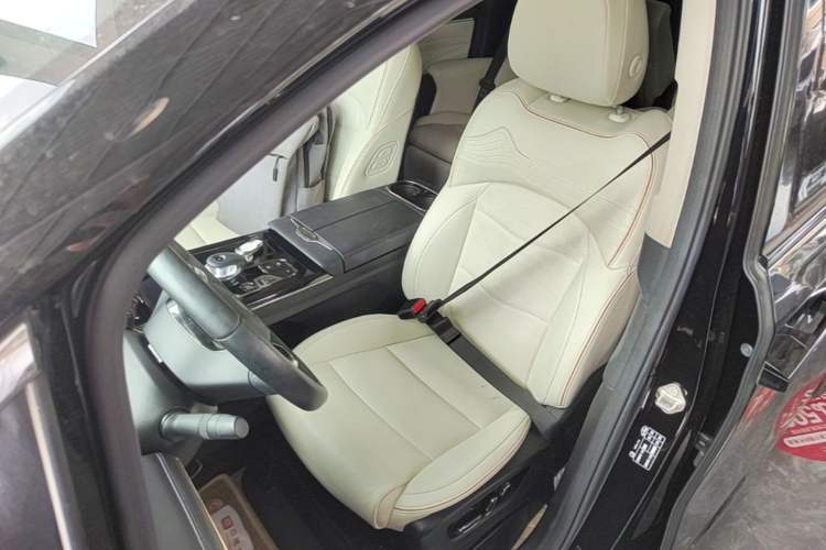 Used GAC Trumpchi E9 2023 E9 MAX Left Front Seat