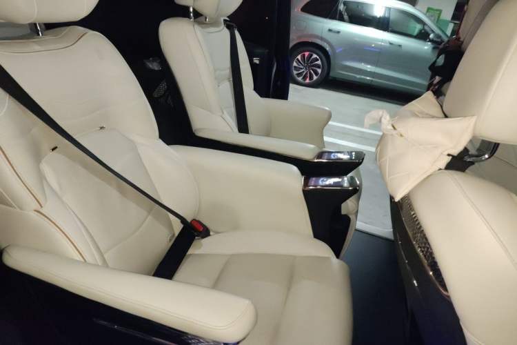 Used GAC Trumpchi E9 2023 E9 Master Model Left Rear Seat