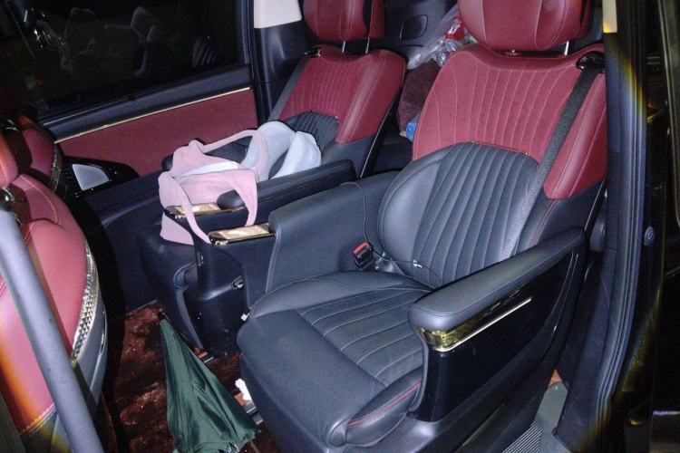 Used GAC Trumpchi E9 2023 E9 Master Model Left Rear Seat