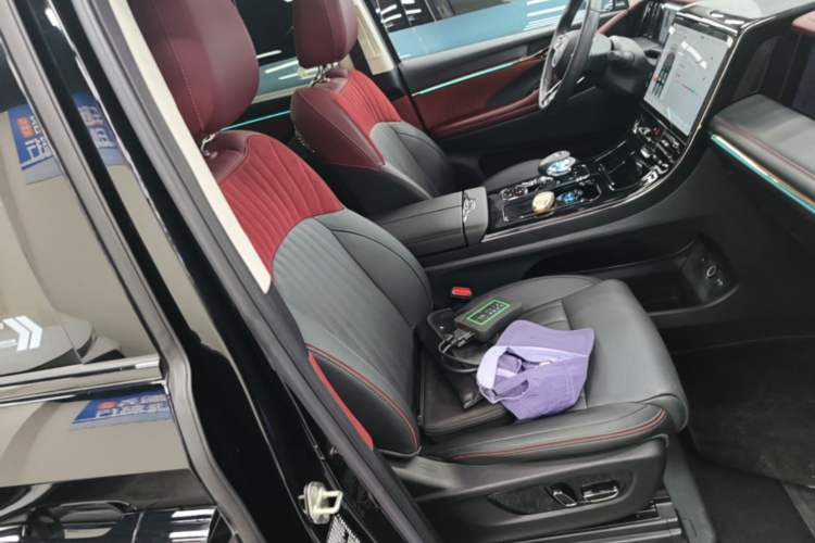Used GAC Trumpchi E9 2023 E9 Master Model Right Front Seat