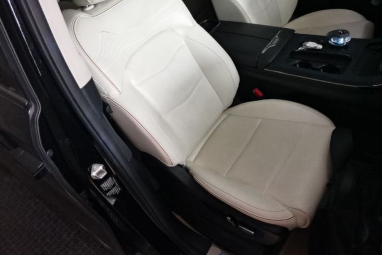 Used GAC Trumpchi E9 2023 E9 MAX Right Front Seat
