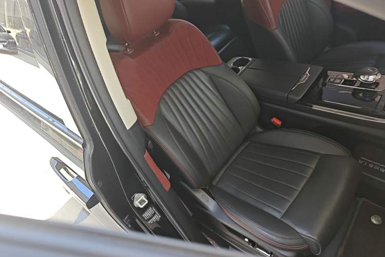 Used GAC Trumpchi E9 2023 E9 Master Model Right Front Seat