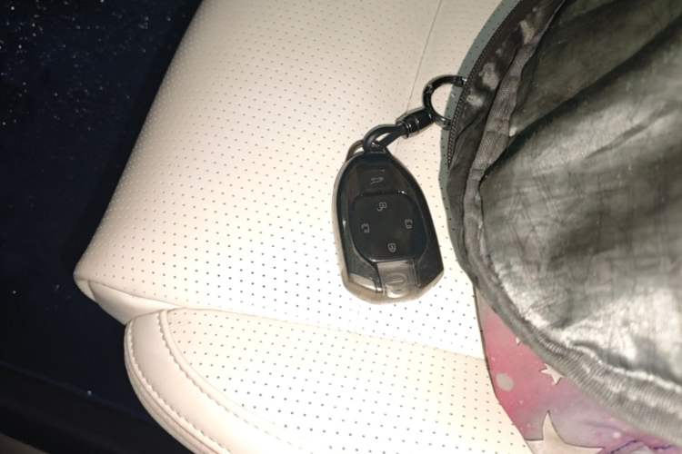 Used GAC Trumpchi E9 2023 E9 Championship Edition Vehicle Key