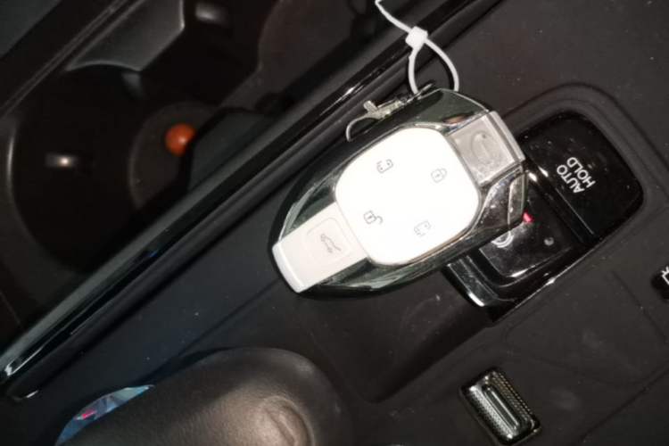Used GAC Trumpchi E9 2023 E9 MAX Vehicle Key
