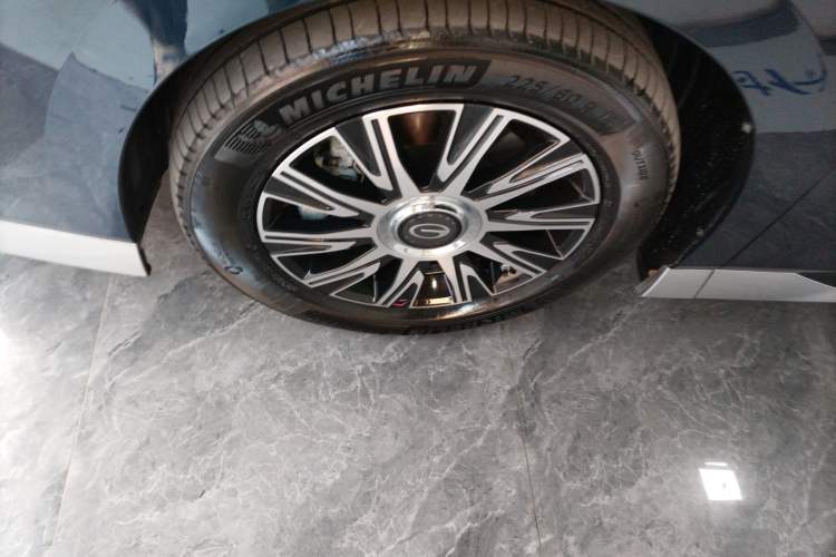 Used GAC Trumpchi E9 2023 E9 Master Model Exterior 4