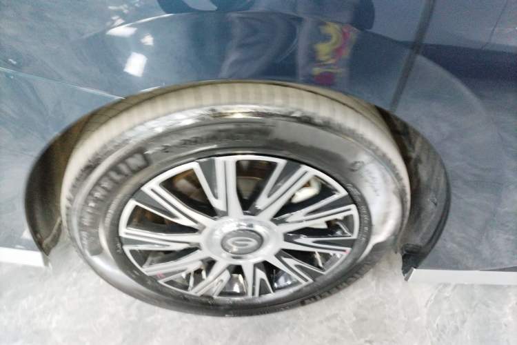 Used GAC Trumpchi E9 2023 E9 Master Model Exterior 5