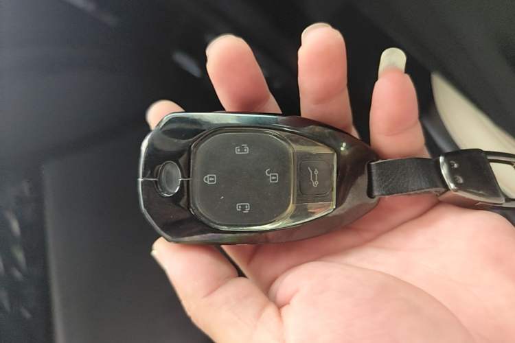 Used GAC Trumpchi E9 2023 E9 Master Model Interior 1
