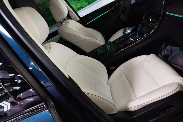 Used GAC Trumpchi E9 2023 E9 Master Model Right Front Seat
