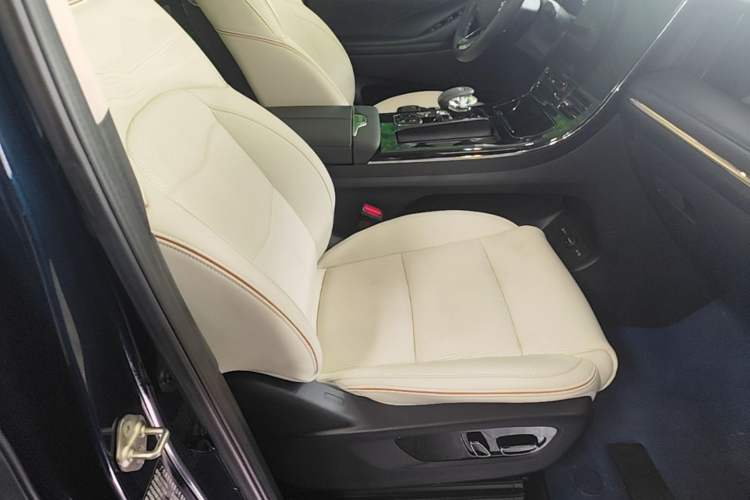 Used GAC Trumpchi E9 2023 E9 Master Model Right Front Seat