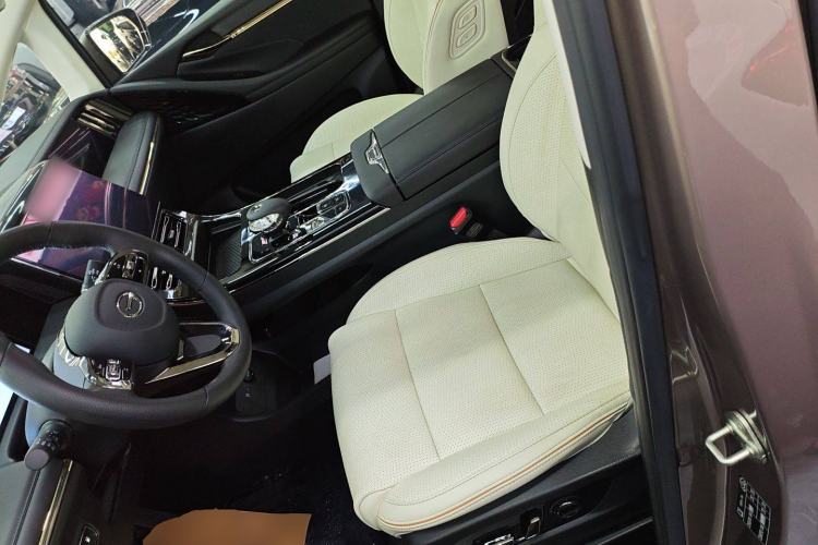 Used GAC Trumpchi E9 2023 E9 MAX Left Front Seat