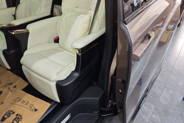 Used GAC Trumpchi E9 2023 E9 MAX Left Rear Door Interior