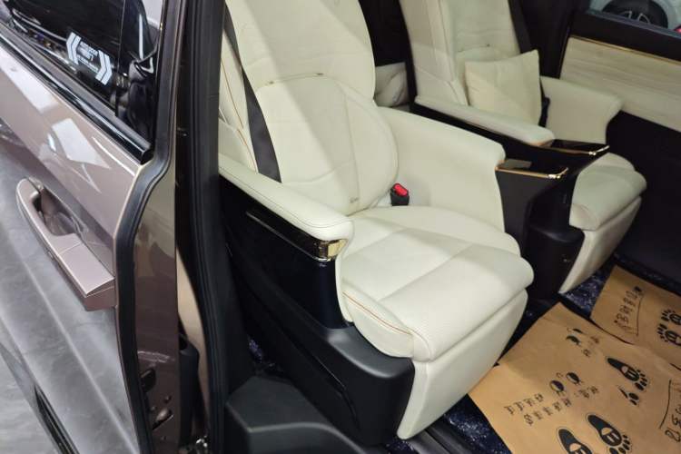 Used GAC Trumpchi E9 2023 E9 MAX Right Rear Door Interior