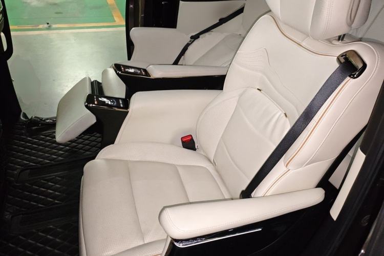 Used GAC Trumpchi E9 2023 E9 Master Model Left Rear Seat