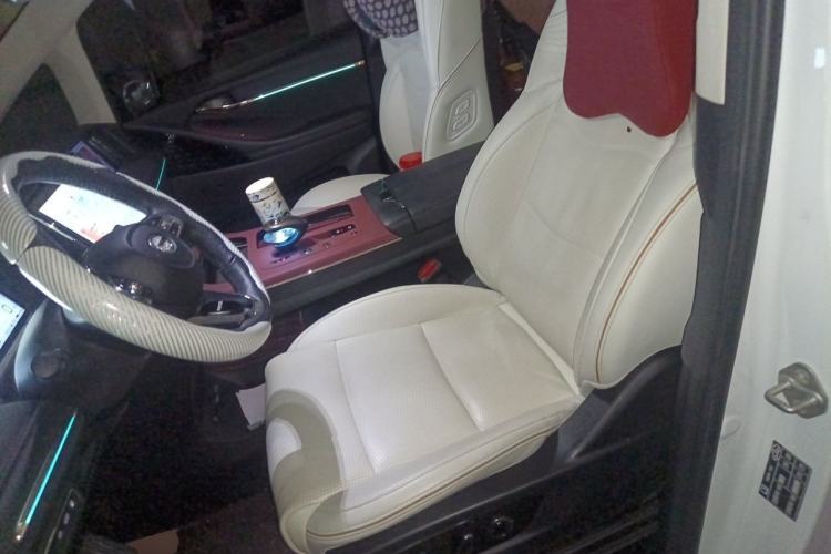 Used GAC Trumpchi E9 2023 E9 MAX Left Front Seat