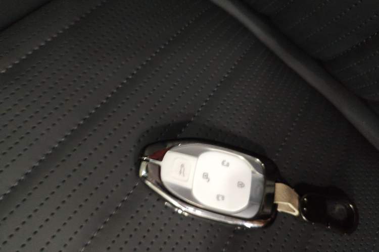 Used GAC Trumpchi E9 2023 E9 Master Model Vehicle Key