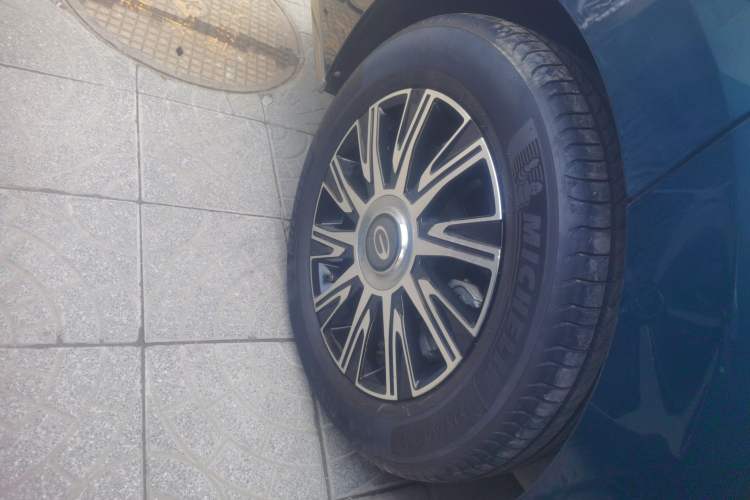 Used GAC Trumpchi E9 2023 E9 MAX Exterior 5