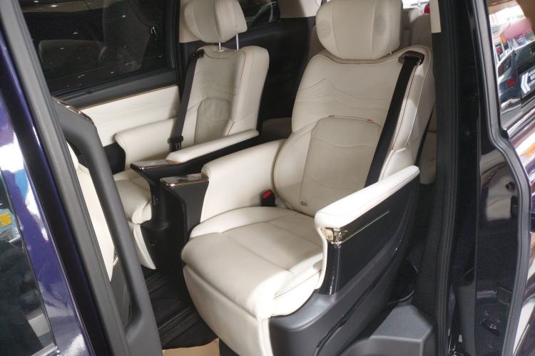 Used GAC Trumpchi E9 2023 E9 MAX Left Rear Seat