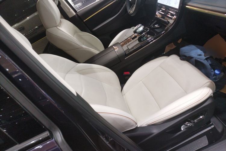 Used GAC Trumpchi E9 2023 E9 MAX Right Front Seat