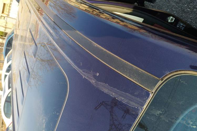 Used GAC Trumpchi E9 2023 E9 MAX Roof