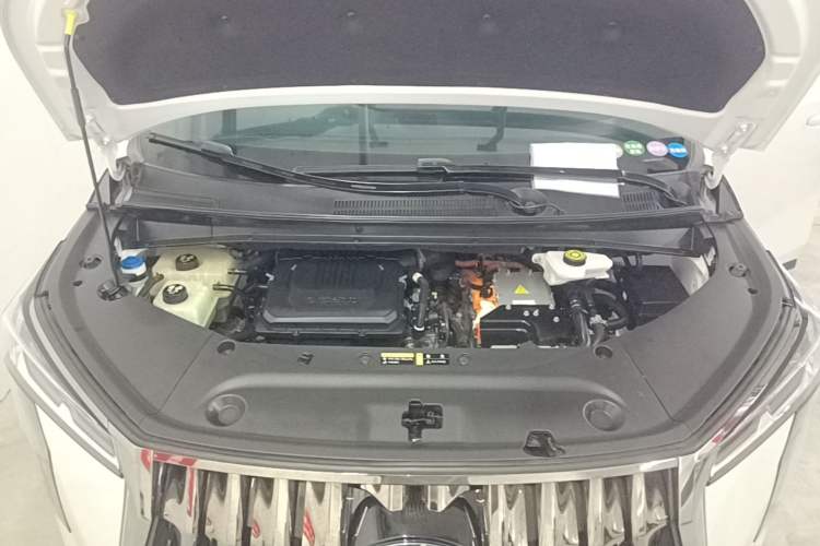 Used GAC Trumpchi E9 2023 E9 Championship Edition Engine Bay