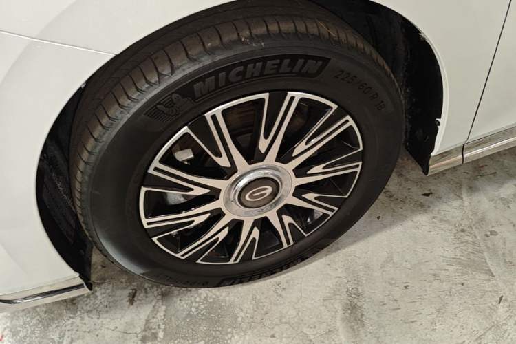 Used GAC Trumpchi E9 2023 E9 MAX Exterior 4