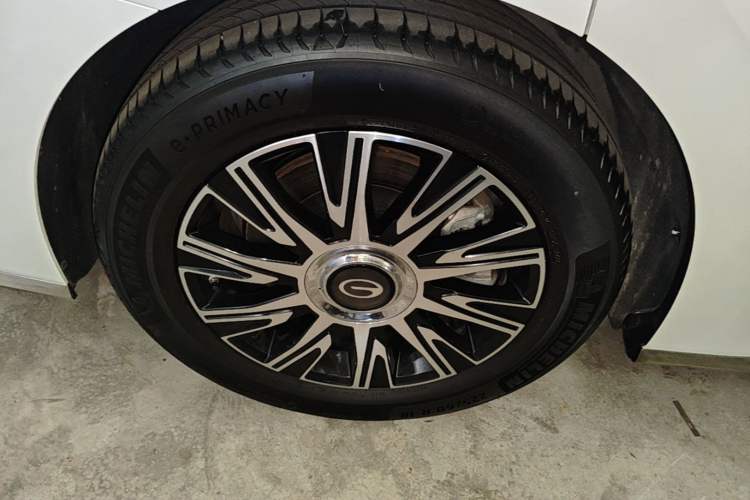 Used GAC Trumpchi E9 2023 E9 MAX Exterior 5