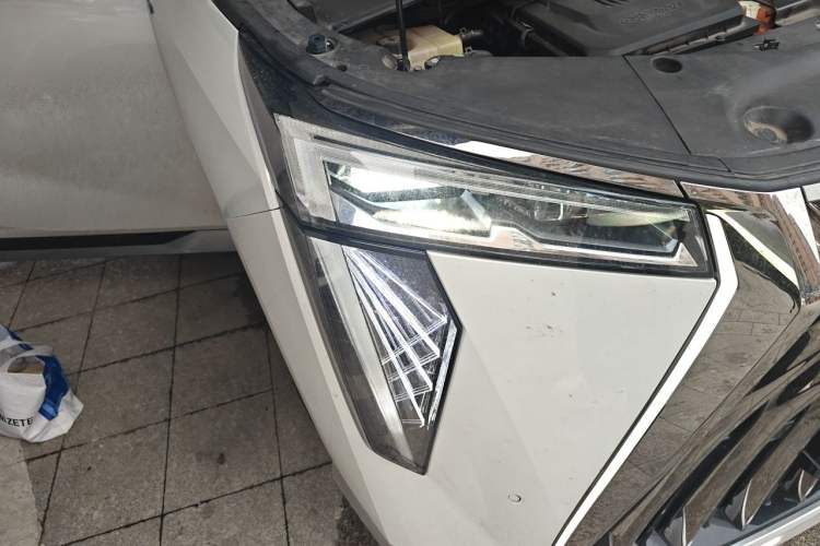 Used GAC Trumpchi E9 2023 E9 Championship Edition Exterior 6