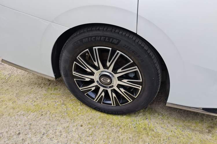 Used GAC Trumpchi E9 2023 E9 MAX Exterior 8
