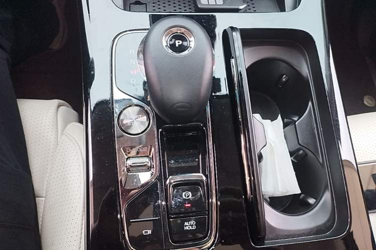 Used GAC Trumpchi E9 2023 E9 MAX Gear Lever