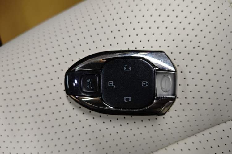 Used GAC Trumpchi E9 2023 E9 MAX Interior 1
