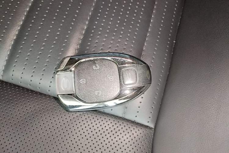 Used GAC Trumpchi E9 2023 E9 MAX Interior 1
