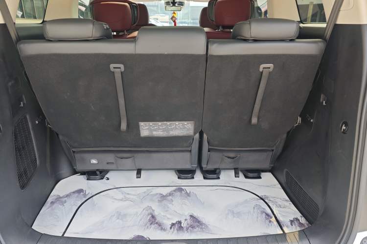 Used GAC Trumpchi E9 2023 E9 Master Model Interior 12