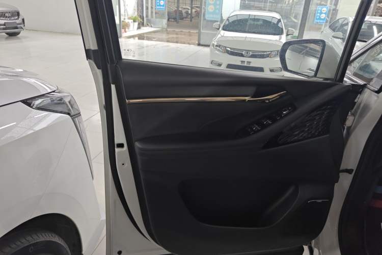 Used GAC Trumpchi E9 2023 E9 MAX Left Front Door Interior