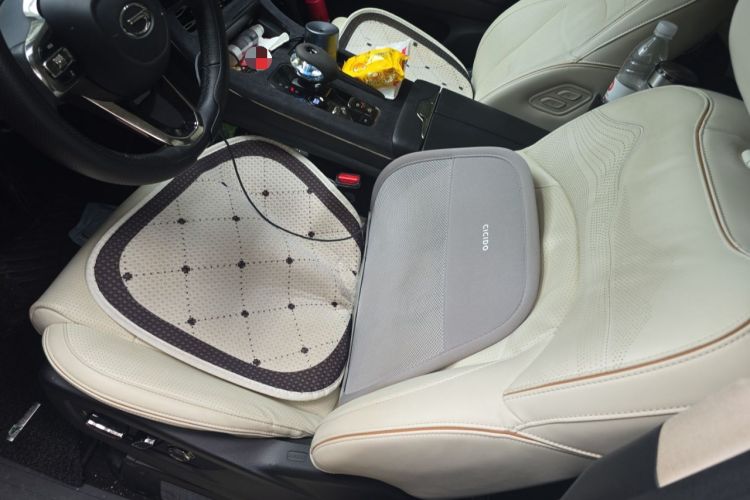 Used GAC Trumpchi E9 2023 E9 MAX Left Front Seat