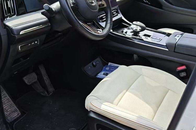 Used GAC Trumpchi E9 2023 E9 MAX Left Front Seat