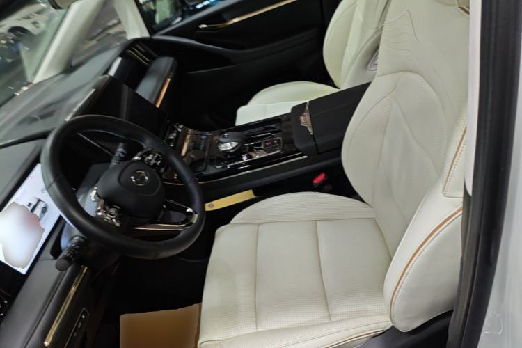 Used GAC Trumpchi E9 2023 E9 MAX Left Front Seat