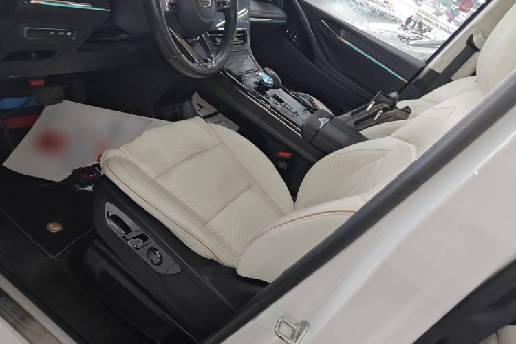 Used GAC Trumpchi E9 2023 E9 MAX Left Front Seat