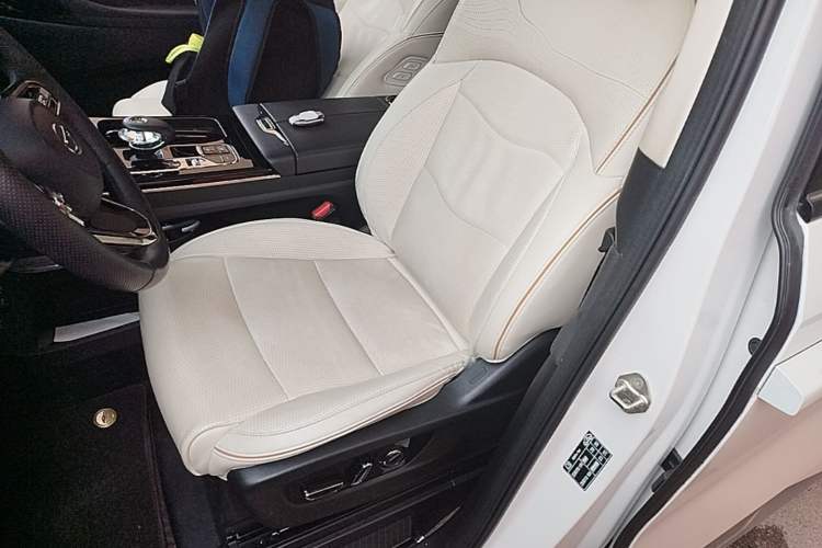 Used GAC Trumpchi E9 2023 E9 MAX Left Front Seat
