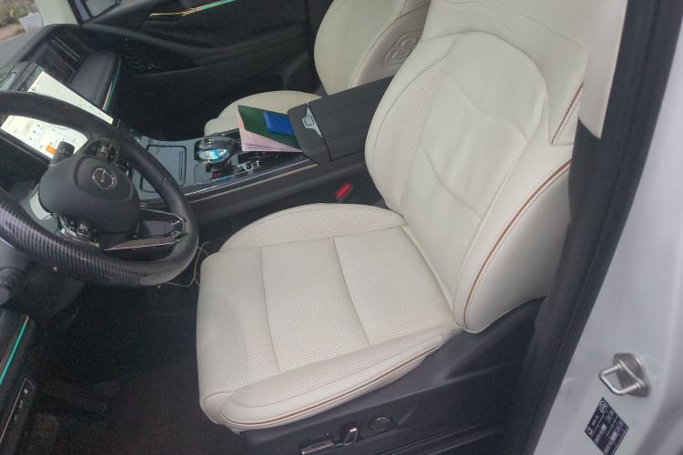 Used GAC Trumpchi E9 2023 E9 MAX Left Front Seat