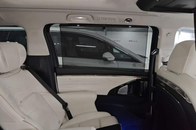 Used GAC Trumpchi E9 2023 E9 MAX Left Rear Door Interior