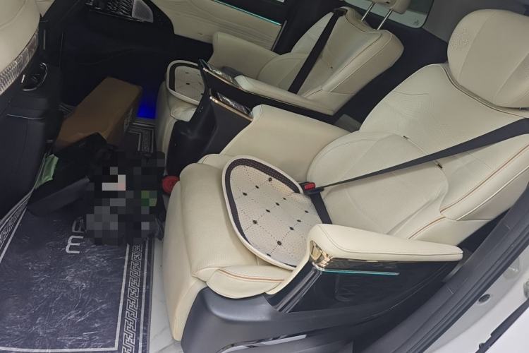 Used GAC Trumpchi E9 2023 E9 MAX Left Rear Seat