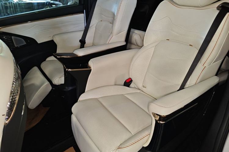 Used GAC Trumpchi E9 2023 E9 MAX Left Rear Seat