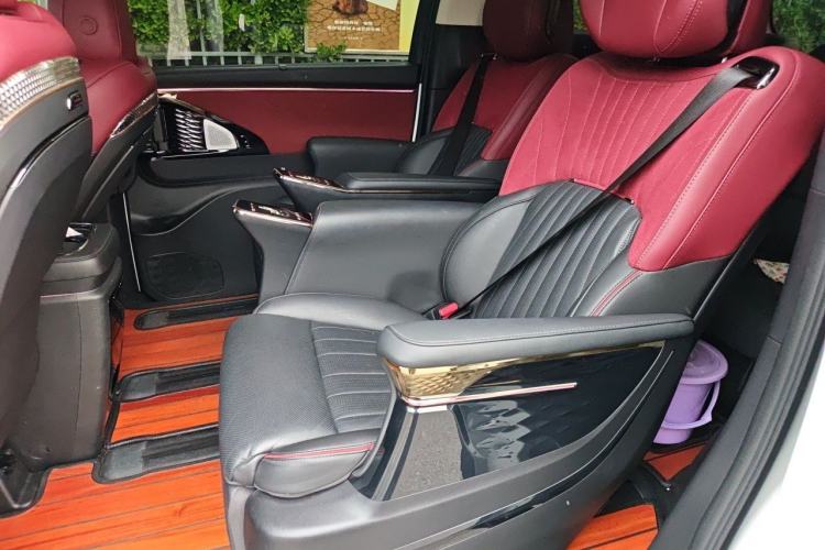 Used GAC Trumpchi E9 2023 E9 MAX Left Rear Seat