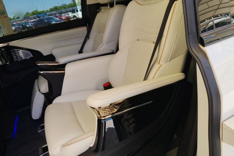 Used GAC Trumpchi E9 2023 E9 MAX Left Rear Seat