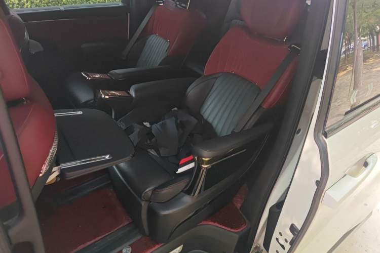 Used GAC Trumpchi E9 2023 E9 Master Model Left Rear Seat