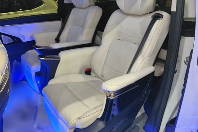Used GAC Trumpchi E9 2023 E9 MAX Left Rear Seat