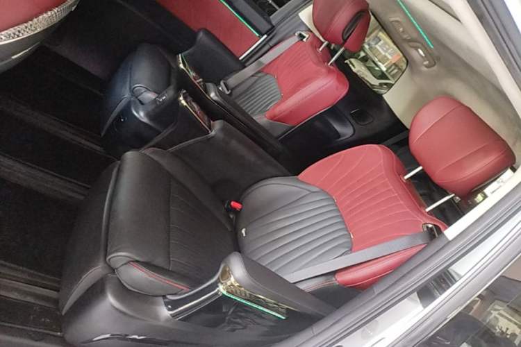 Used GAC Trumpchi E9 2023 E9 MAX Left Rear Seat