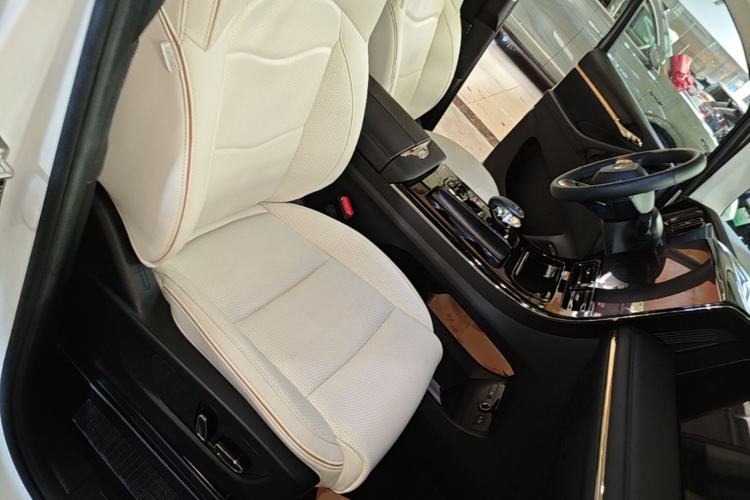 Used GAC Trumpchi E9 2023 E9 MAX Right Front Seat