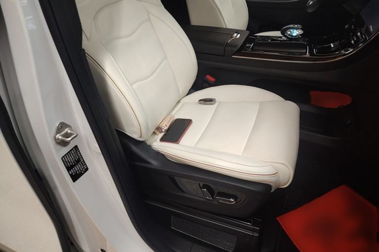 Used GAC Trumpchi E9 2023 E9 MAX Right Front Seat