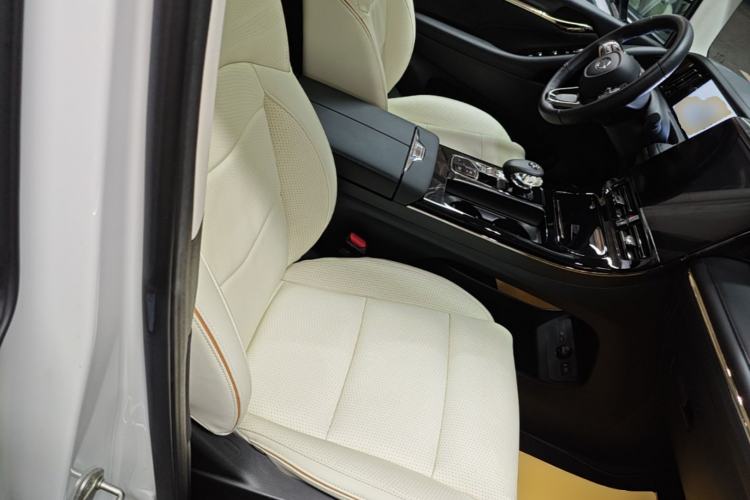 Used GAC Trumpchi E9 2023 E9 MAX Right Front Seat